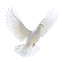 White dove ornament wings spread transparent background symbolic Christmas tree accessory