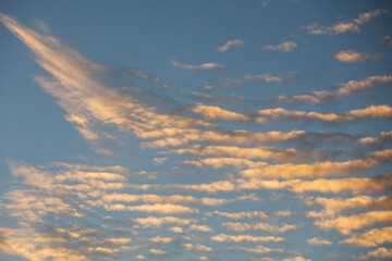 Cirrocumulus undulating clouds in the evening sky. Beautiful celestial background
