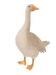 Watercolor cartoon toy goose. Hand-drawn cute goose on a white background. Bird in cartoon style.