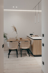 Interior of modern kitchen studio in house