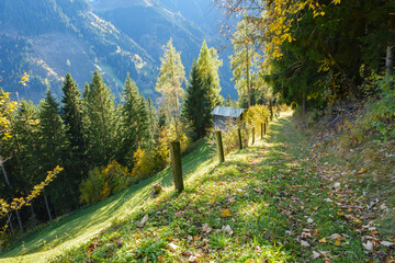 Wanderweg entlang eines Herbstwaldes mit Holzzaun