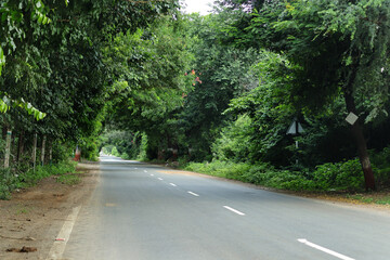 Indian small village and rural areas in Gujarat India. horizontal empty road, farm land, and lane of electricity pole beautiful village landscape. growing tree on long road. countryside of india.