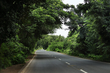 In Indian small village and rural areas in Gujarat India. horizontal empty road, farm land, and lane of electricity pole beautiful village landscape. growing tree on long road. countryside of india.