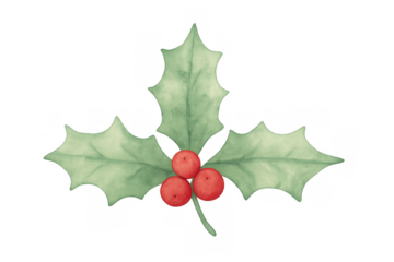 Christmas holly watercolor illustration with green leaves and red berries, seasonal festive decoration element