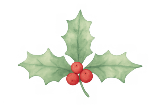 Christmas holly watercolor illustration with green leaves and red berries, seasonal festive decoration element