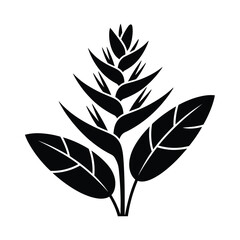 Black silhouette of a tropical heliconia flower and leaves