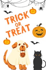 A scary vector set of halloween card illustration with a pumpkin, cat, and bats for an autumn celebration