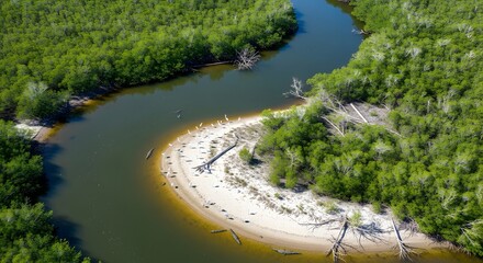 Winding river flowing through a lush mangrove forest with wildlife. Environmental conservation and natural ecosystems. Aerial view of birds and crocodiles on a sandbar
