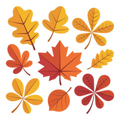 Obraz premium Vibrant Autumn Leaves Set Collection