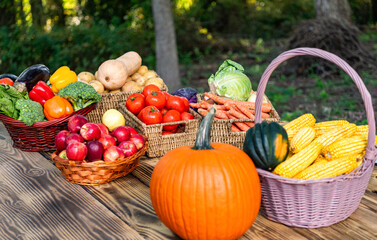 Harvesting in countryside. Healthy farming and harvesting. Vitamin harvest. Basket full of vegetable. Healthy food and diet. Dieting with organic vegetable harvest. Autumn harvest, selective focus