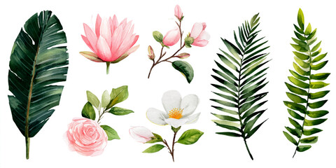 Collection of delicate watercolor botanical illustrations featuring tropical leaves and soft pink flowers