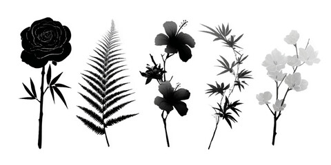 Collection of five delicate botanical silhouettes including a rose fern and flowering branches