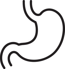 Simple line drawing of the human stomach showing its j shape and digestive tract connection