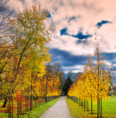 Late autumn landscape with colorful trees and pedestrian footpath