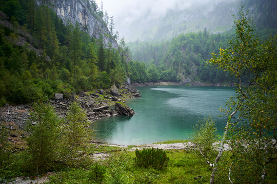 Misty lake surrounded by lush green forest with rocky cliffs in the background. Salzkammergut, Dachstein Mountains, Austria