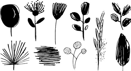 Minimalist abstract black and white plant doodles for creative design