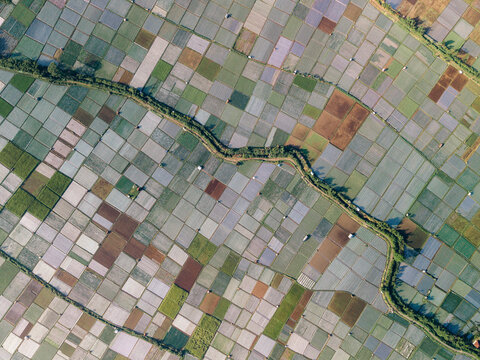 Aerial view of agricultural fields with a winding river, showcasing diverse patchwork patterns. Lombok, Sembalun, Indonesia
