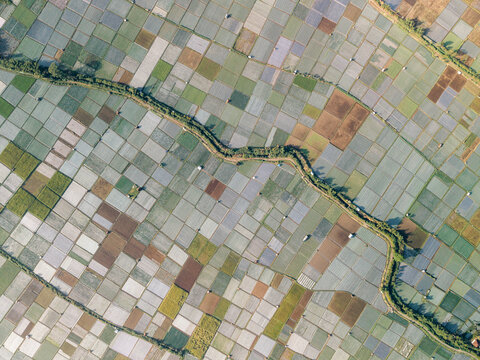 Aerial view of colorful agricultural fields divided by a meandering river. Lombok, Sembalun, Indonesia