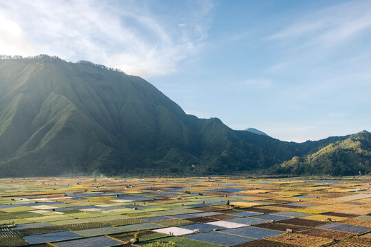 Expansive patchwork farmland beneath a majestic mountain range under a blue sky. Lombok, Sembalun, Indonesia
