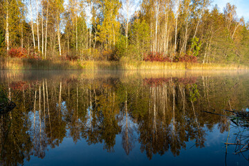 autumn landscape, lake shore, morning by the lake, colorful trees reflecting in the lake water, Vaidava Lake, Latvia