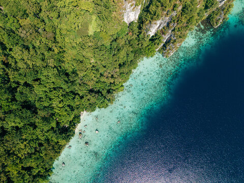 Aerial view of lush green forest meeting clear turquoise ocean waters on a sunny day. Saleman Village, Seram Island, Indonesia