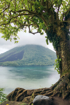 Lush tree on rocky shore with misty mountain across tranquil lake. Banda Neira, Banda, Central Maluku, Indonesia