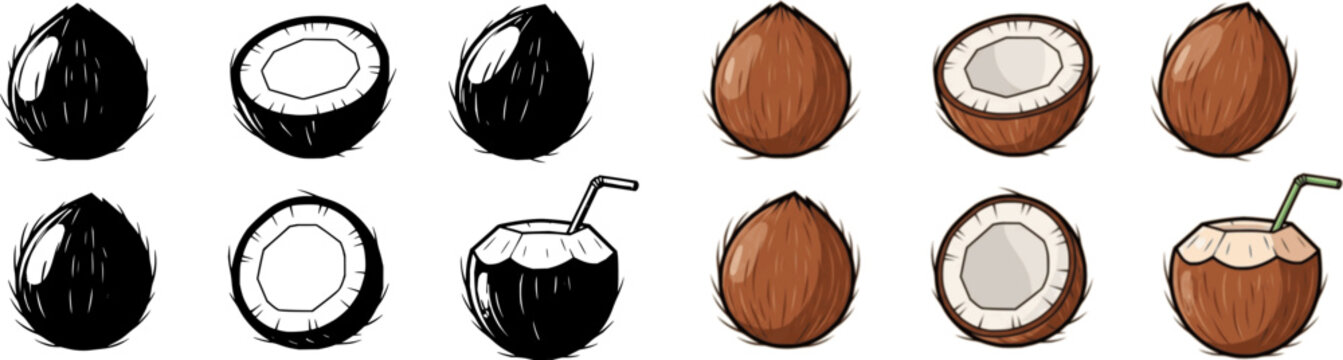 Coconut isolated cartoon set icon. Vector illustration coco on white background. Vector cartoon set icon coconut.
