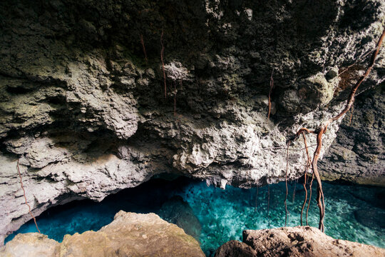 A serene turquoise pool inside a rocky cave with roots hanging from the ceiling. Air Goa Hawang or Hawang water cave in Kei Kecil, Southeast Maluku, Indonesia