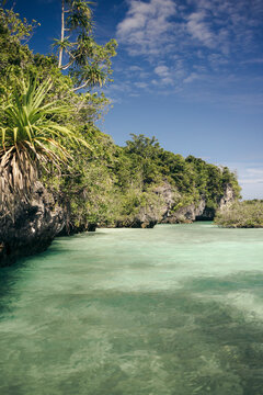 Tropical turquoise waters bordered by lush green cliffs under a clear blue sky. Pulau Bair or Bair Island in Kei Kecil, Southeast Maluku Regency, Maluku, Indonesia