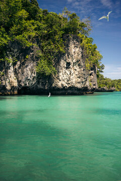 Turquoise waters and lush cliffs under a clear blue sky with birds flying above. Pulau Bair or Bair Island in Kei Kecil, Southeast Maluku Regency, Maluku, Indonesia