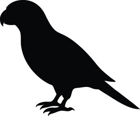 Parrot bird silhouette vector illustration