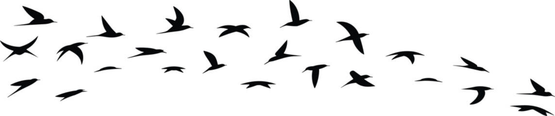 Flat vector silhouette of flying birds in motion, flock formation, nature migration, wildlife freedom, dynamic movement, peaceful sky, travel illustration