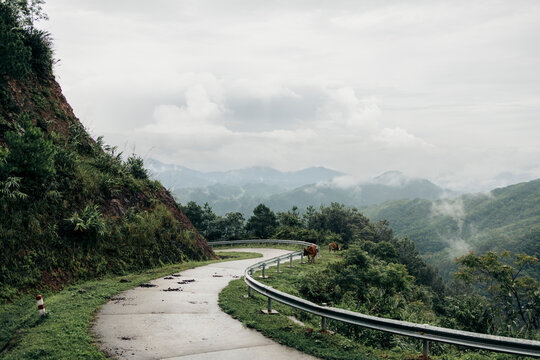 Curved mountain road with misty hills and lush greenery on a cloudy day. Binh Lieu District, Quang Ninh, Vietnam