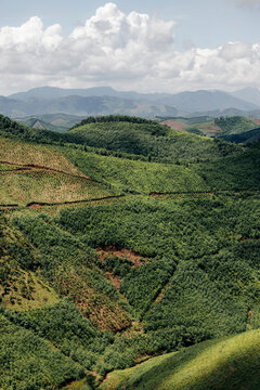 Rolling green hills with winding paths under a cloudy sky and distant mountains. Son Dong District, Bac Giang, Vietnam