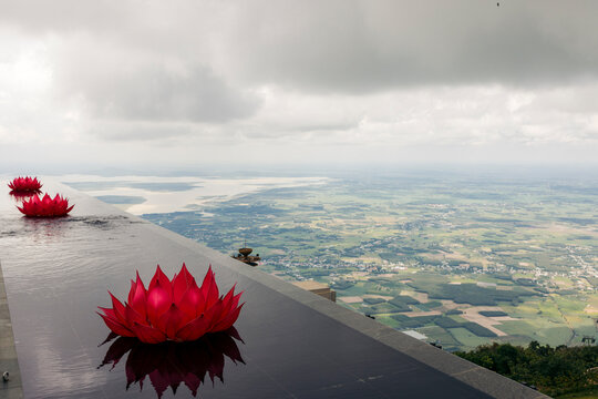 Vibrant red lotus flowers float in a serene infinity pool overlooking a vast landscape below. Black Virgin Mountain, Tay Ninh, Vietnam