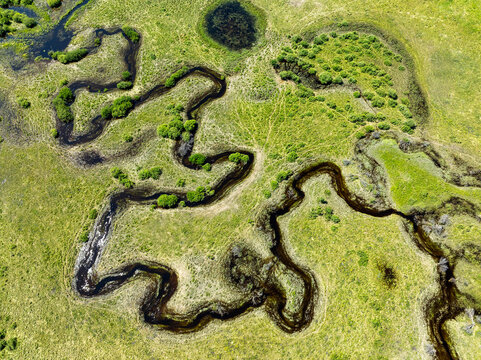 Aerial view of a winding river through vibrant green marshland with scattered shrubs. West of Calgary, Canada