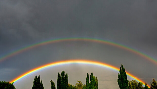 Double rainbow arches over tall trees against a dark stormy sky.