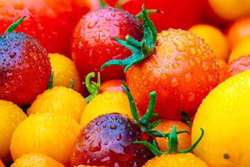 Fresh cherry tomatoes with water droplets in vibrant red, orange, and yellow hues.