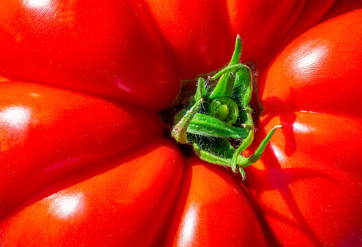 Close-up view of a ripe, red tomato with green stem and smooth, shiny surface.