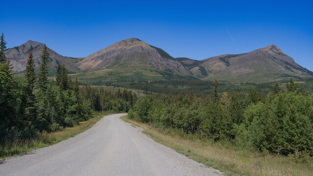 A gravel road leads through lush green forests towards majestic mountain peaks under a clear blue sky. Eden Valley, Alberta, Canada
