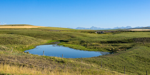Serene grassy landscape with a reflective pond under a clear blue sky and distant mountains. Waterton Lakes National Park, Alberta, Canada