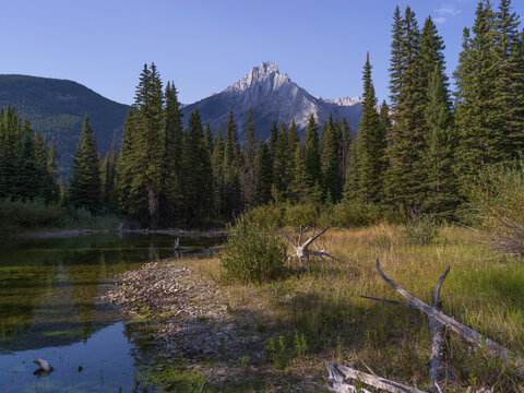 Mountain peak framed by dense pine forest and calm reflective water in serene landscape. Kananaskis, Alberta, Canada