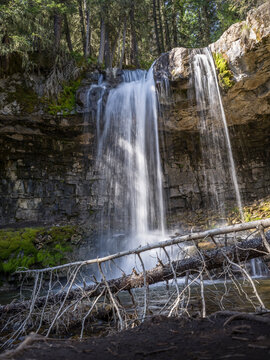 Majestic waterfall cascading over rocky cliff into a forested basin with fallen tree in foreground. Kananaskis, Alberta, Canada