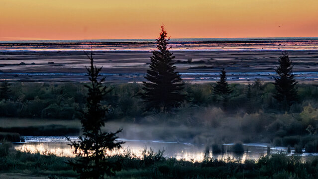 Sunset view with misty lake, silhouetted trees, and orange sky. Hudson Bay, Churchill, Manitoba, Canada