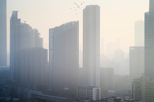 Tall skyscrapers enveloped in dense fog with birds silhouetted against the sky. Wuhan, China