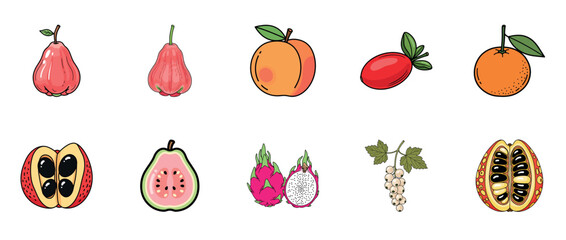 Fototapeta premium Variety of exotic fruits: rose apple, guava, dragon fruit, papaya, kumquat, white currant