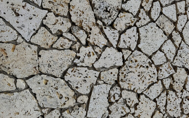 Natural coral stone wall texture background - Abstract design