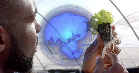 Researcher in jacket examining lettuce seedling with root ball inside greenhouse, holographic globe
