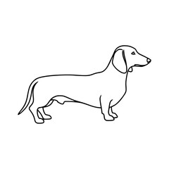 Simple black and white illustration of a dog with a long tail