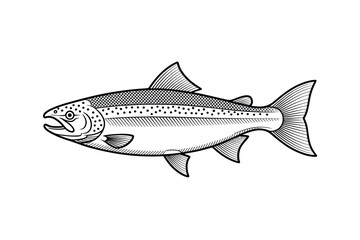 Fototapeta premium A detailed illustration of a salmon fish swimming